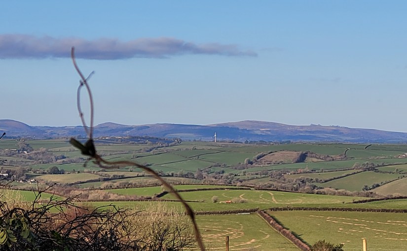 Just your average, lock down&nbsp;squabble